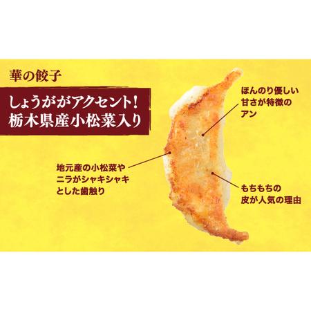 ふるさと納税 　餃子24個入り×2箱 栃木県宇都宮市