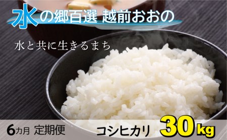 こしひかり 30kg×6回 計180kg（白米）「エコファーマー米」－水のまちのお米－[O-003005]