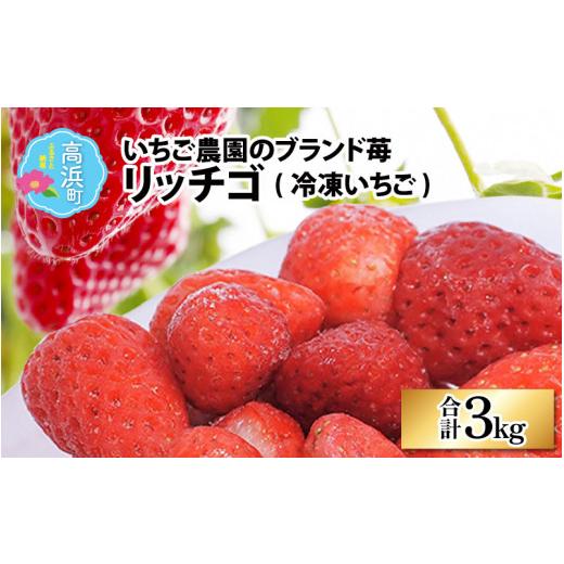 ふるさと納税 福井県 高浜町 いちご農園のブランド苺(冷凍いちご×3kg)