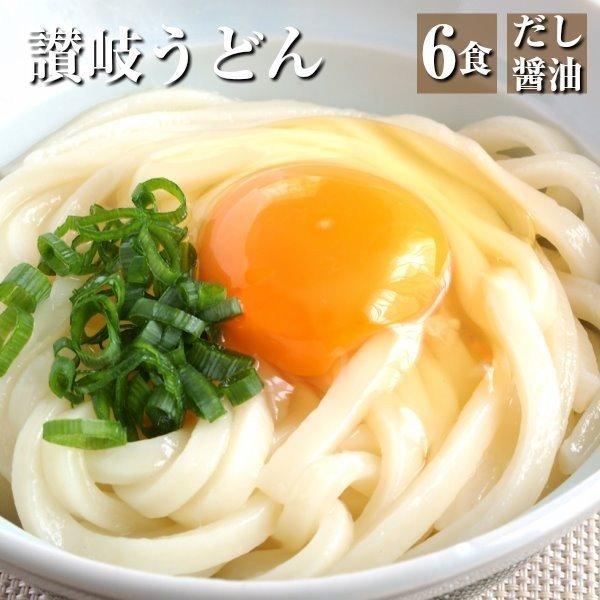 讃岐うどん 6食分 300g×2 特製だし醤油付き 製麺所直送 本場讃岐うどん