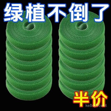 臺灣出貨⚡魔術貼綠植紮帶捆綁綠色粘扣帶植物捆綁不傷植物支撐固定熱植綁帶 8JEP