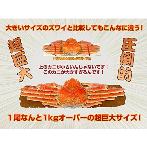 海夢 ズワイガニ 特大 厳選ビッグサイズ 贈答 ギフト 天然 ずわい蟹 姿 約1kg×1尾