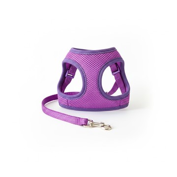 Canary 愛莎寵兔甜美穿戴式牽繩 兔子專用胸背帶  S  紫色  1個