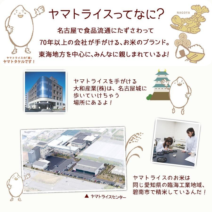 米 お米 コシヒカリ 20kg 富山県産 5kg×4 令和5年産 白米