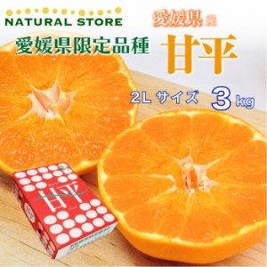 [予約 1月10日-2月28日の納品]   甘平 3kg 化粧箱 2L  愛媛県産 最上級品！ かんぺいみかん かんぺい 高糖度 プレミアム柑橘 ギフト 贈