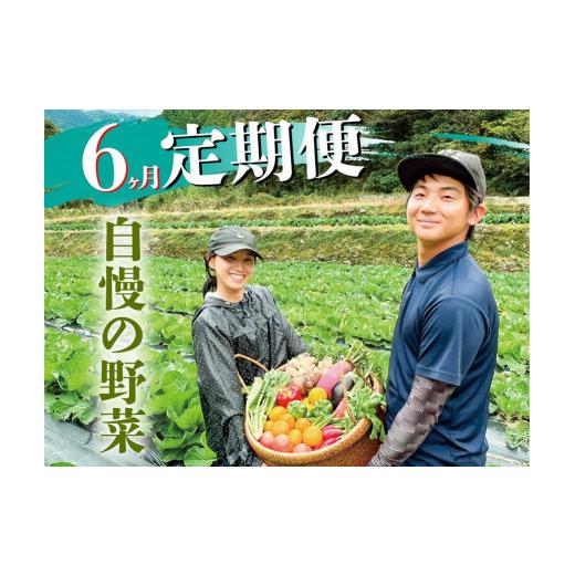 ふるさと納税 高知県 香美市 新鮮野菜BOX定期便・偶数月にお届け(6カ月便）8〜12種