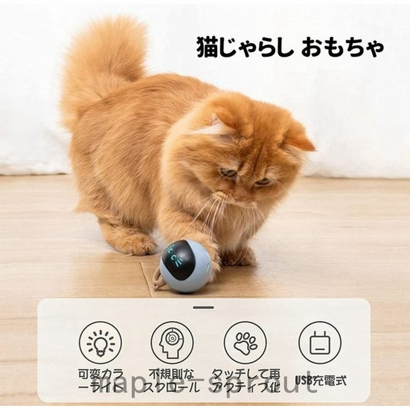 猫 おもちゃ 電動 猫じゃらし 自動ねこじゃらし Usb充電式 猫 一人 遊び おもちゃ 自動回転ボール Ledライト 光る 猫 蹴り おもちゃ スト 通販 Lineポイント最大0 5 Get Lineショッピング