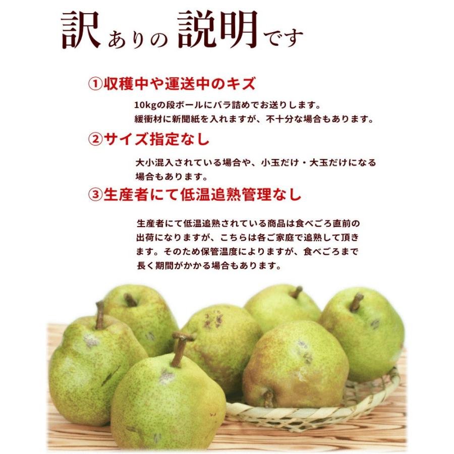 訳あり なし 洋梨 ラフランス 山形県産 訳ありラ・フランス 10kg 12月中旬頃から発送 送料込