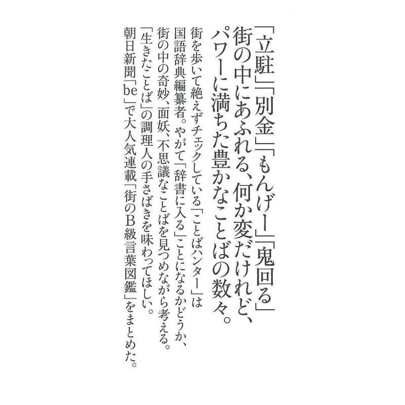 知っておくと役立つ街の変な日本語 (朝日新書)