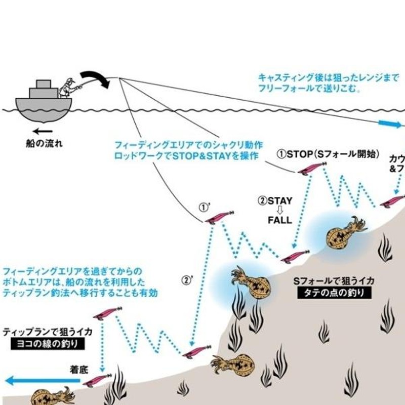 ダイワ エメラルダス ボート RV 3.0号 25g パープル−パープル エギ