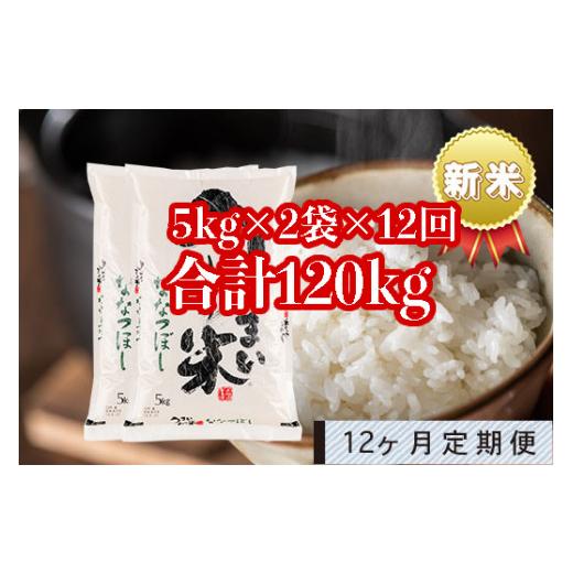 ふるさと納税 北海道 雨竜町 うりゅう米「ななつぼし」5kg×2袋 定期便！毎月1回・計12回お届け