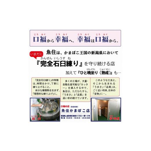 ふるさと納税 新潟県 上越市 魚住の人気商品詰め合わせ６品セット