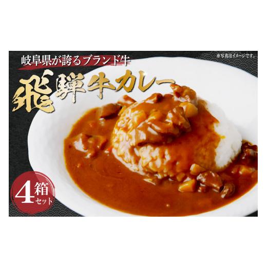 ふるさと納税 岐阜県 可児市 飛騨牛カレーセット