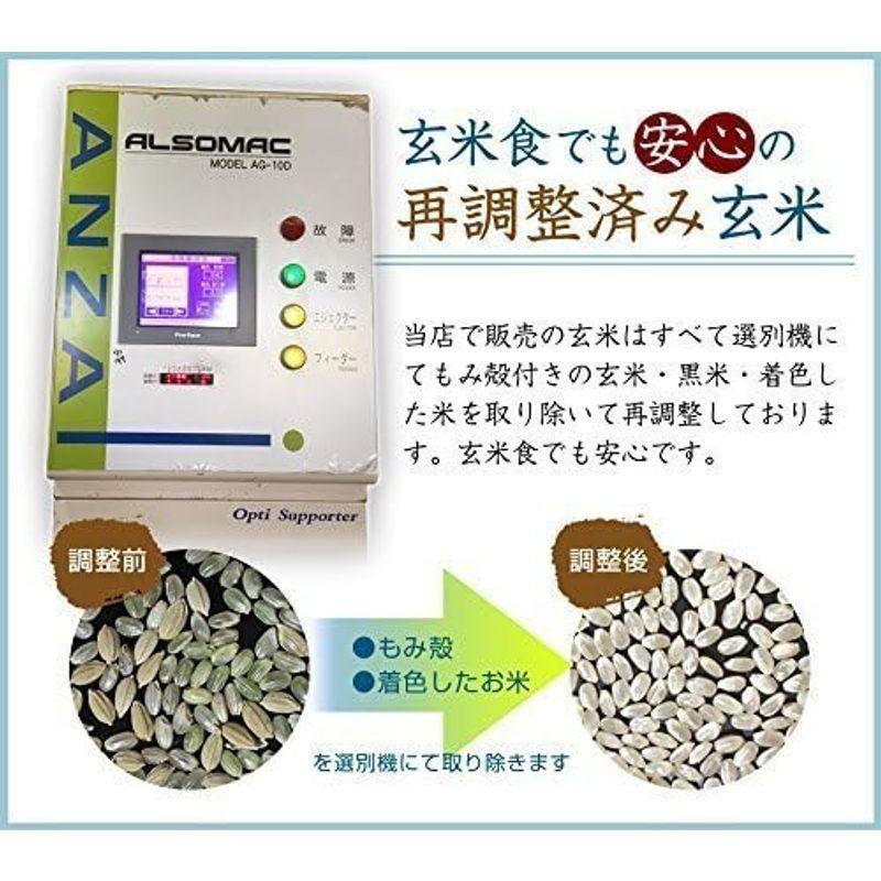 新米 ふさこがね 玄米 選別済 30kg 令和5年産 千葉県産 10kg×3 Brown rice