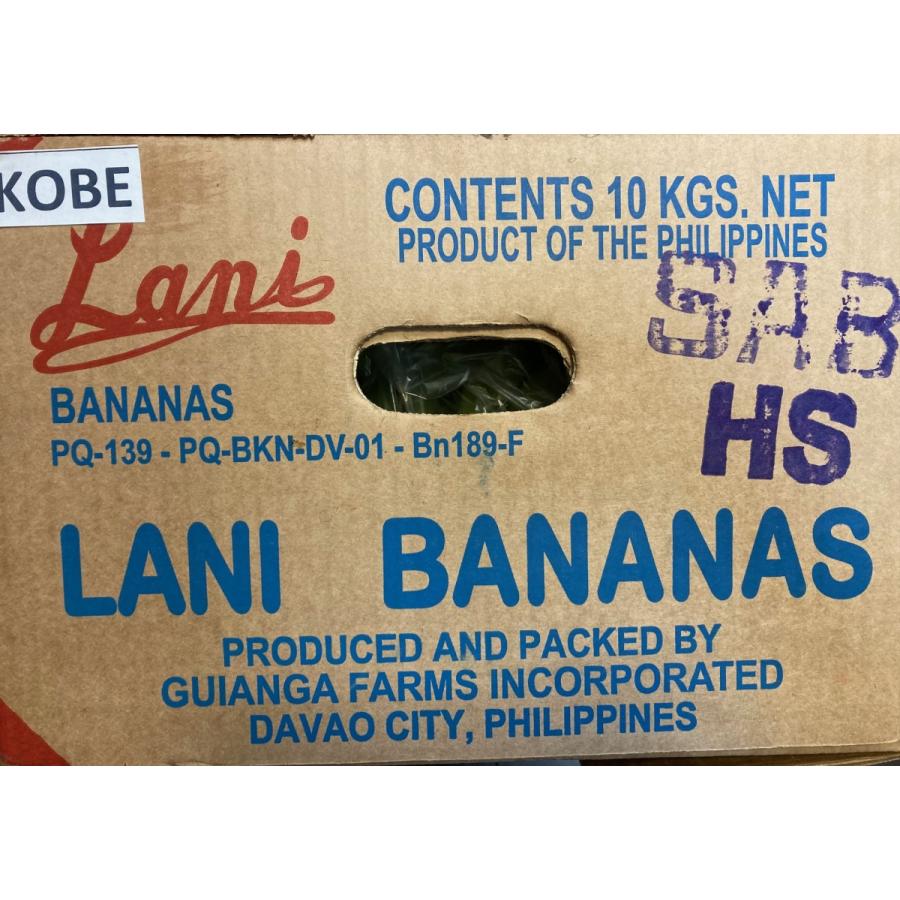 サババナナ SABA BANANA 5房前後 約10kg フィリピン産 調理用バナナ 料理用バナナ 野菜バナナ