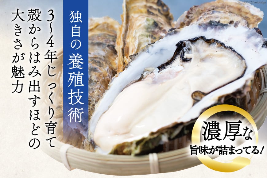  牡蠣 3～4年モノ 生食 殻付き牡蠣 約3kg(約16-18個入) [住喜水産 宮城県 気仙沼市 20562726] 期間限定 冷蔵 新鮮 濃厚 真牡蠣 カキ かき 生牡蠣 魚貝類 生牡蠣 貝 海鮮 魚介類 なべ カキフライ 牡蠣ご飯 魚介