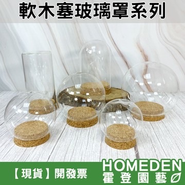 【隔日到貨】軟木塞玻璃罩系列 玻璃盅罩 玻璃球罩 永生花罩 乾燥花罩 不凋花罩 玻璃防塵罩【HOMEDEN霍登園藝】