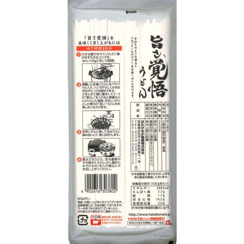 はたけなか製麺 旨さ覚悟うどん 250g ×15個