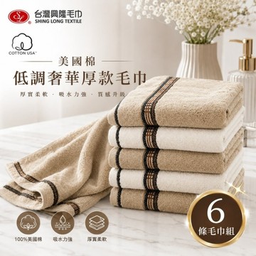 美國棉．低調奢華厚款毛巾(6條裝 小資組) 【台灣興隆毛巾製】飯店等級厚款毛巾