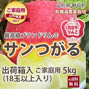 つがる りんご 訳あり 送料無料  リンゴ 葉取らずりんご 山形 有機低農薬栽培 山形 朝日