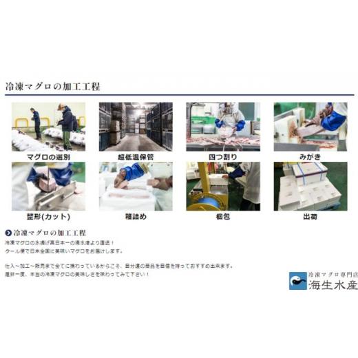 ふるさと納税 静岡県 静岡市 冷凍 鮪 とろざんまい（天然本鮪・天然南鮪・バチの三種の「とろ」とバチの「上赤身」のセット）静岡市 天然 まぐろ トロ マグロ …