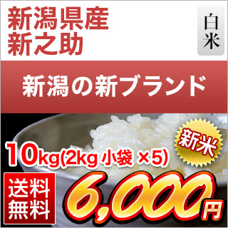 新米 令和5年(2023年) 産 新潟県の新ブランド 新之助 白米 10kg（2kg×5袋）