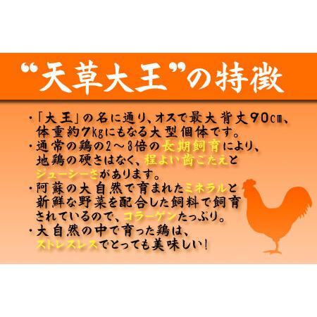 ふるさと納税 希少！くまもと地鶏　天草大王　もも肉　1kg 熊本県阿蘇市