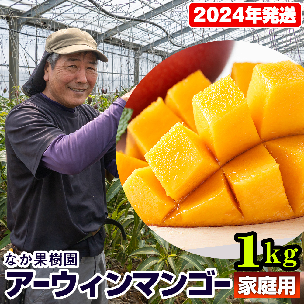 なか果樹園　家庭用　アーウィンマンゴー1kg