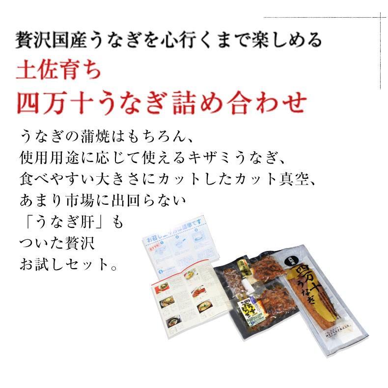 うなぎ 蒲焼き 国産最高級 四万十うなぎ お取り寄せグルメ 詰め合わせ プレゼント お歳暮 2023 ギフト  鰻