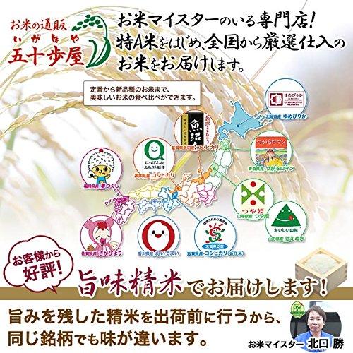 福岡県産 元気つくし 白米 5kg 令和4年産 減農薬 特別栽培米