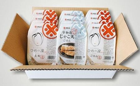 愛媛のごはんセット12個入