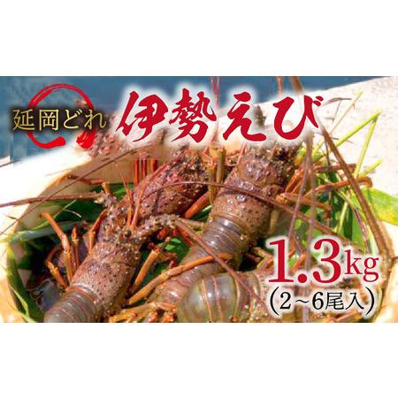 ふるさと納税  延岡どれ伊勢えび 　1.3kg （10月中旬発送開始） N017-ZD001 宮崎県延岡市