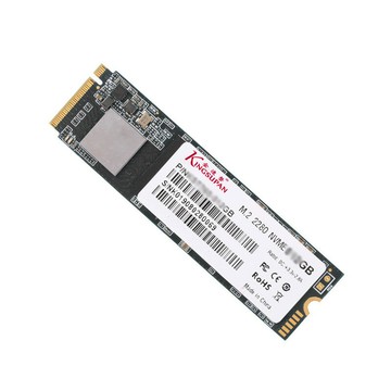 金速磐工廠SSD256g固態硬盤512g電競專用PCIe協議M.2 2280 NVMe【北歐家居生活】