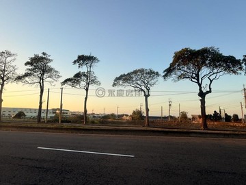 買到賺到!大甲經國路臨路都計內農業區｜台中市大甲區德化段