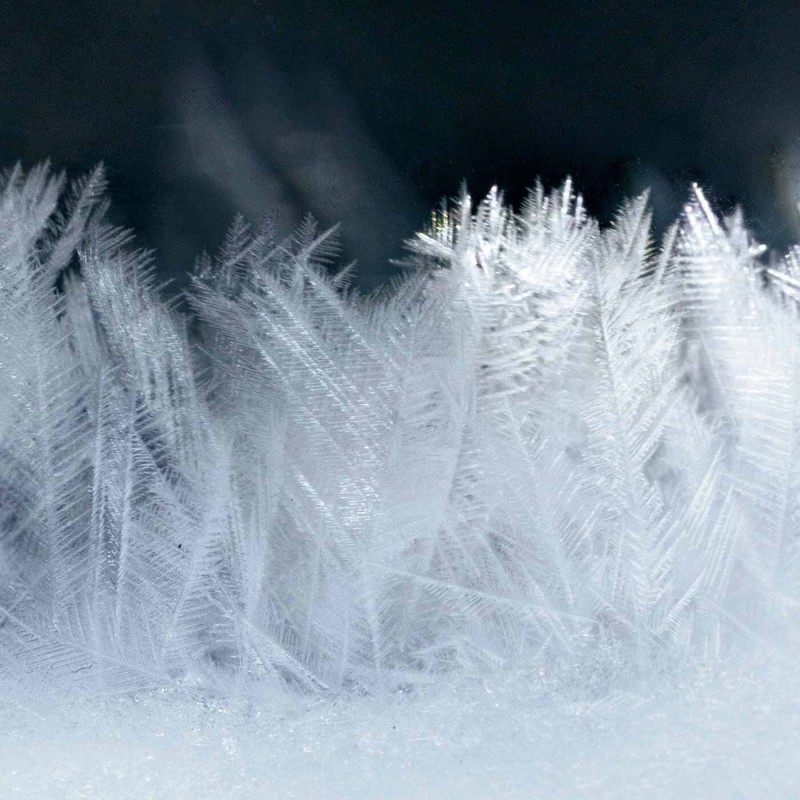 ふわふわ寄り添う三兄弟 雪の妖精シマエナガのストームグラスの会