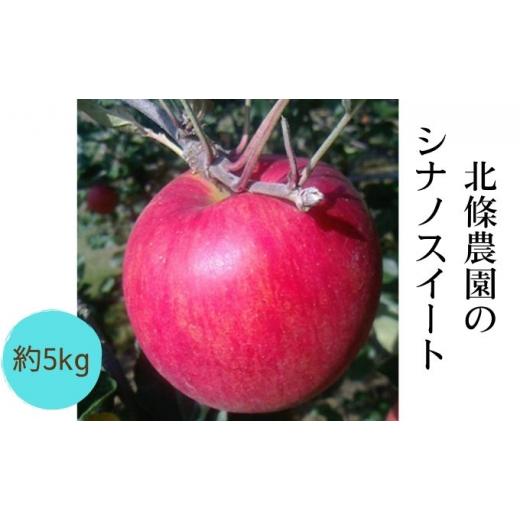 ふるさと納税 長野県 松川村 2024年先行予約 北條農園の「シナノスイート」5kg 家庭用