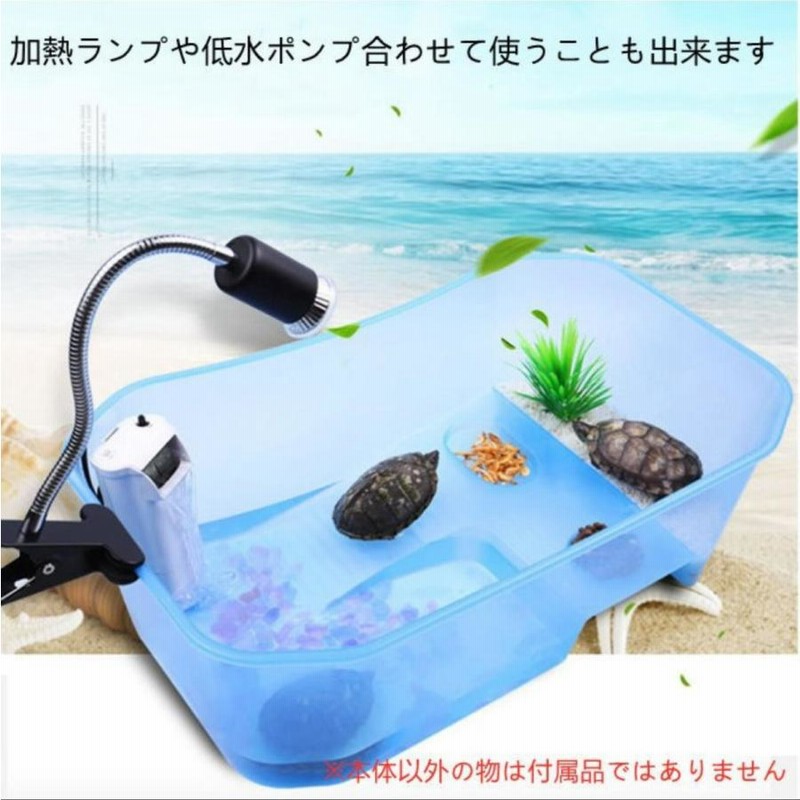亀の水槽 大きい 両生類 カメの楽園 脱出防止 飼育ケース