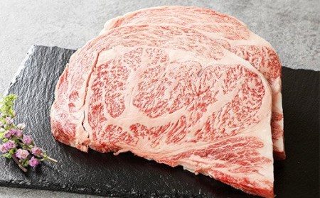 牛肉 肉 ミヤチク ステーキ 国産 宮崎牛 ヒレステーキ(150g×2枚) ロースステーキ(250g×2枚) 肉 牛肉