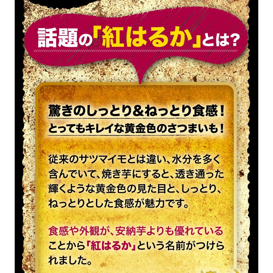 ポイント5倍 鹿児島県産 ぷち紅はるか 5kg サツマイモ 生芋 小さいサイズ  プチ さつまいも 土つき 産地直送 送料無料 S常