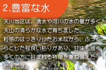 特別栽培米  唐津市天川産 こしひかり 5kg×2 (合計10kg) 減肥減農薬で育てた特別栽培米をお届け たんぱく質が少なく食味が良いお米