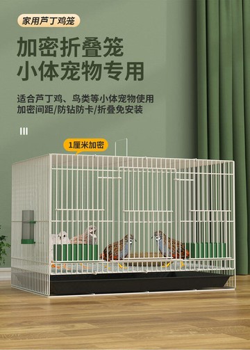蘆丁雞籠子 家用養殖籠 貓籠 狗籠 寵物籠 加密雛雞籠 小雞籠 鵪鶉籠 鴨籠 柯爾鴨籠 籠子