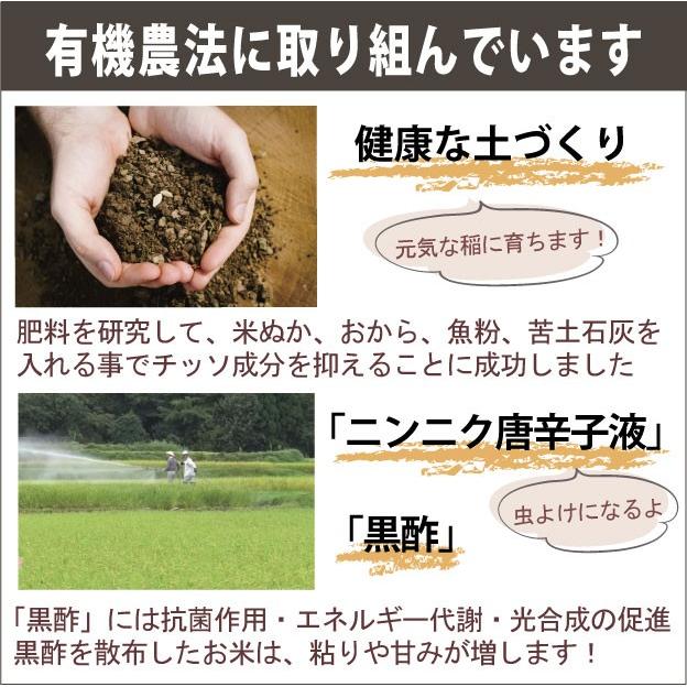 農家直売 魚沼産コシヒカリ 白米 ５kg 令和５年 魚沼市推奨ブランド米認定米