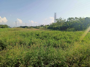 新坡市區686坪農地｜桃園市觀音區新華路二段