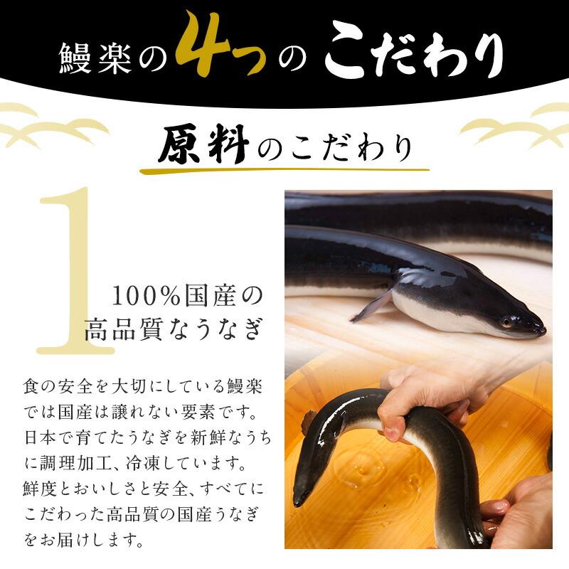 うなぎ 鰻 ウナギ 国産 国内産 九州産 うなぎ蒲焼 鰻蒲焼 蒲焼き 蒲焼 長焼 2尾 140g×2尾 （2~4人前） お取り寄せグルメ プチ贅沢 敬老の日 お歳暮