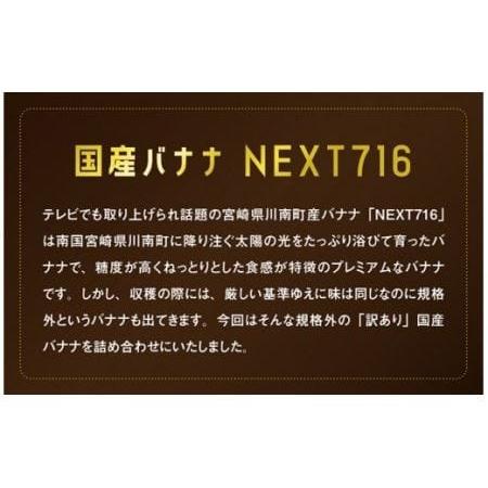 ふるさと納税 国産バナナ1kg　6ヶ月定期便【国産 バナナ 無農薬 フルーツ 果物 デザート 朝食 スムージー 訳ありバナナ 全6.. 宮崎県川南町