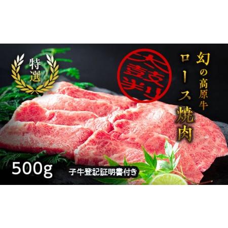 ふるさと納税 『大川原高原牛』　特選ロース焼肉　500g 徳島県佐那河内村