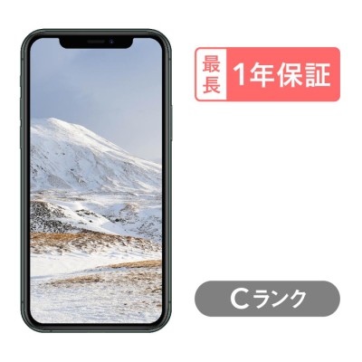 iPhone11Pro スペースグレイ 程よく 256GB SoftBank