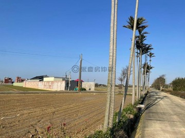 新屋新湖路/臨路農地｜桃園市新屋區大坡