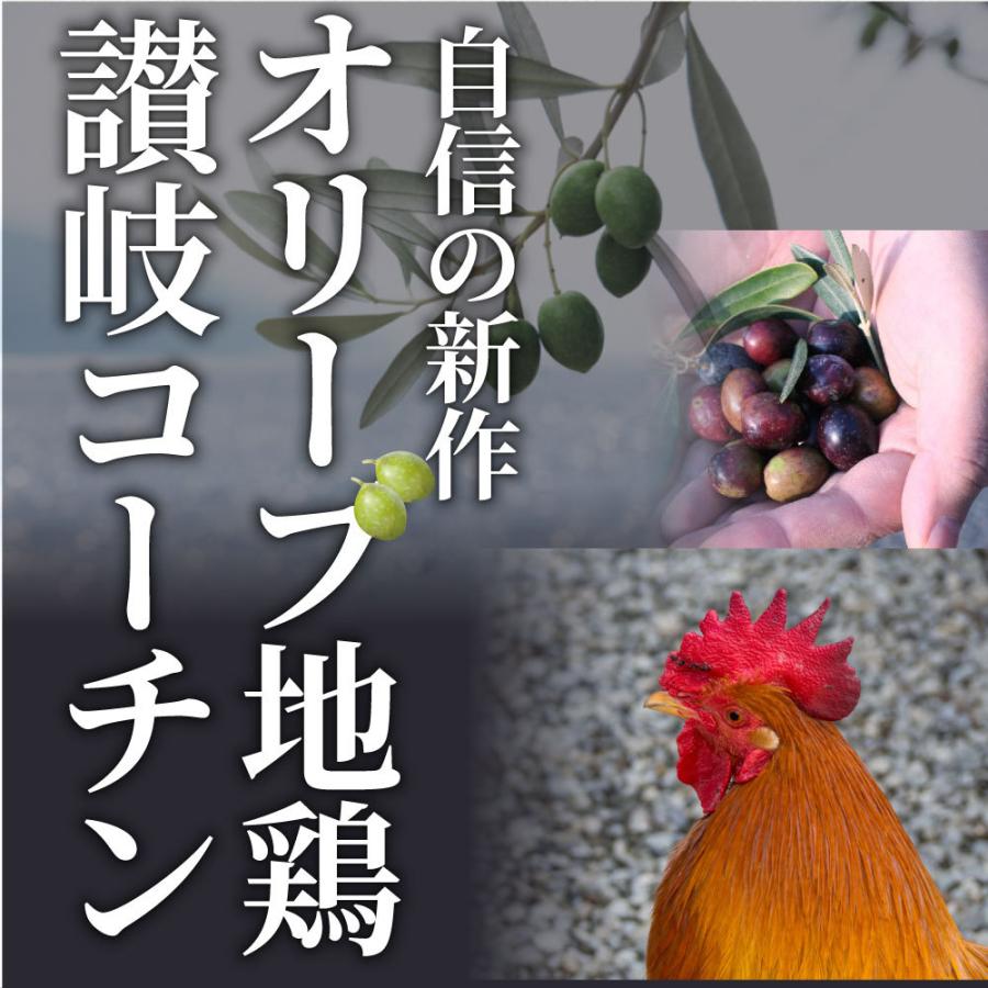 たたき 鶏 タタキ 国産 オリーブ地鶏 鶏むね 3枚 朝びき新鮮 刺身 鶏刺し おつまみ 讃岐コーチン 冷凍送料無料