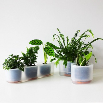 耕作之盆 Self-Watering 懶人花器２+１組
